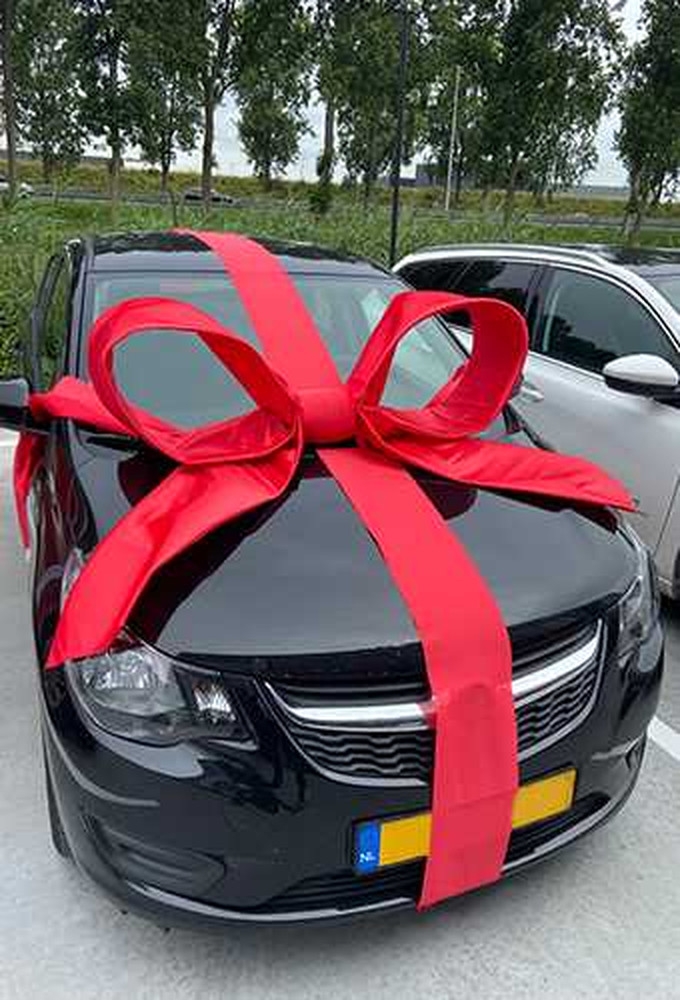 Super Autostrik Salerno Rood 120x100x50cm Met Lint En Zuignap