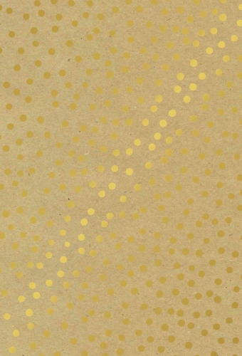 Kadopapier Consumentenrollen Winter Kraft Dots 70cm x 2meter 1stuks