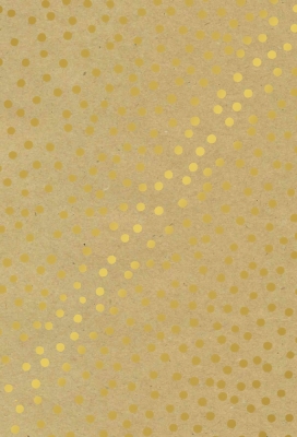 Kadopapier Consumentenrollen Winter Kraft Dots 70cm x 2meter 1stuks