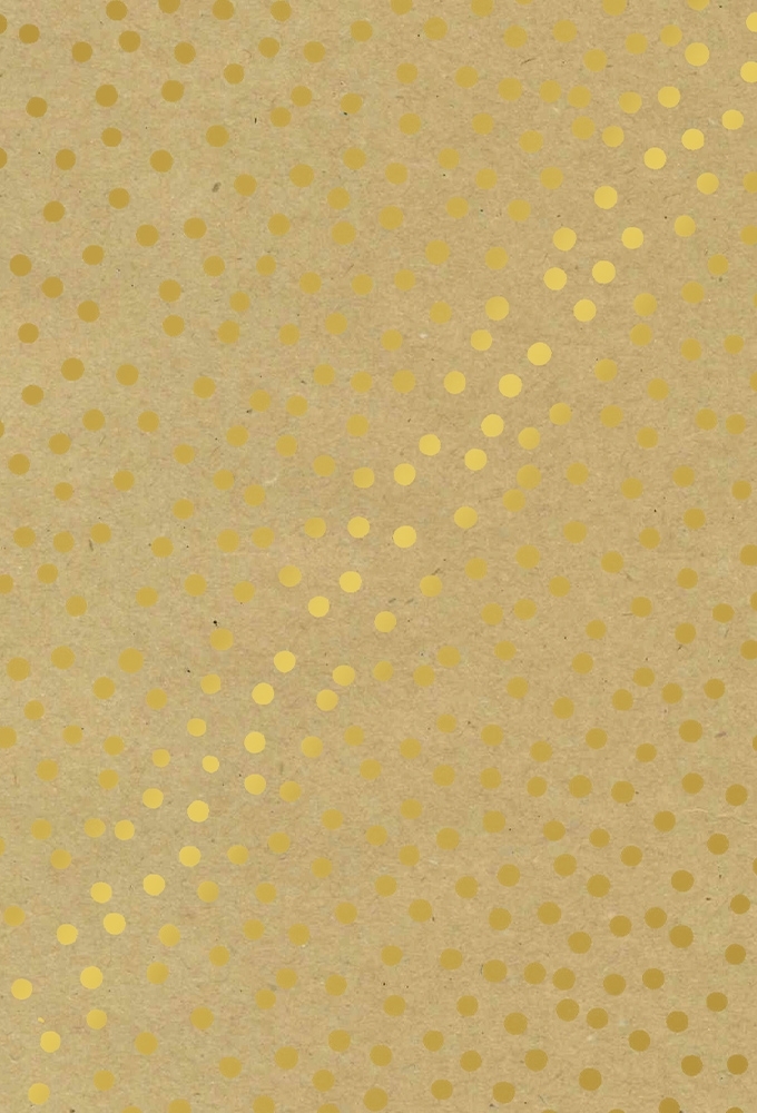 Kadopapier Consumentenrollen Winter Kraft Dots 70cm x 2meter 1stuks