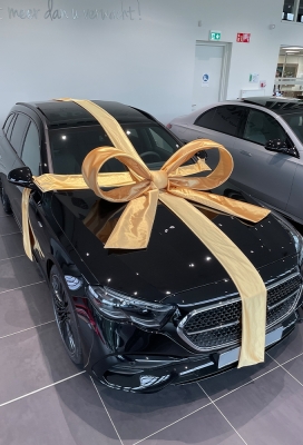 Super Autostrik Salerno Goud 120x100x50cm Met Lint En Zuignap
