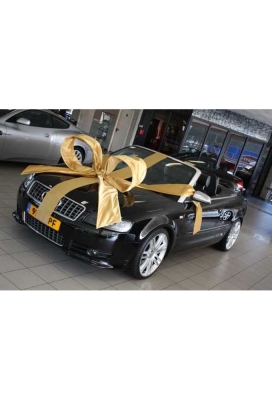 Super Autostrik Salerno Goud 120x100x50cm Met Lint En Zuignap