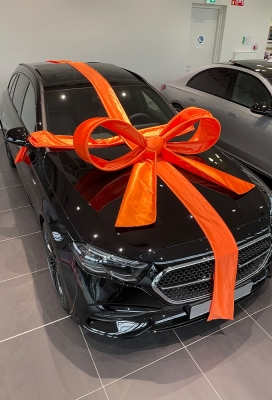 Super Autostrik Salerno Oranje 120x100x50cm Met Lint En Zuignap