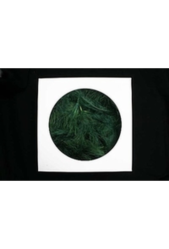 AKTIE Luxe Decoratie Veren 40 gram Donkergroen