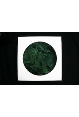 AKTIE Luxe Decoratie Veren 40 gram Donkergroen