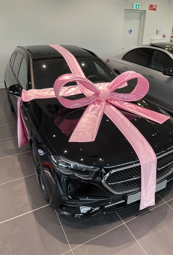 Super Autostrik Salerno Licht Roze 120x100x50cm Met Lint en Zuignap