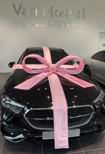 Super Autostrik Salerno Licht Roze 120x100x50cm Met Lint en Zuignap