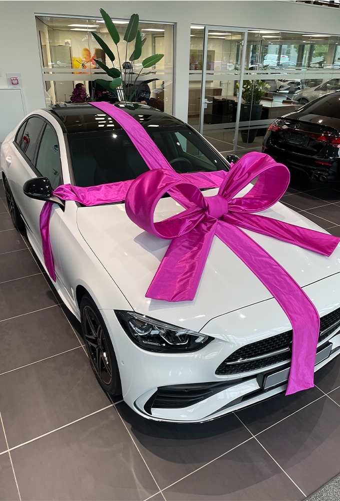 Super Autostrik Salerno Magenta 120x100x50cm Met Lint En Zuignap
