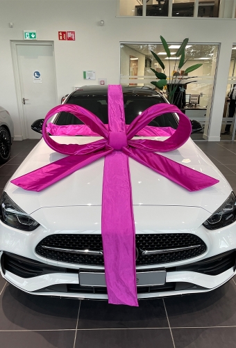 Super Autostrik Salerno Magenta 120x100x50cm Met Lint En Zuignap