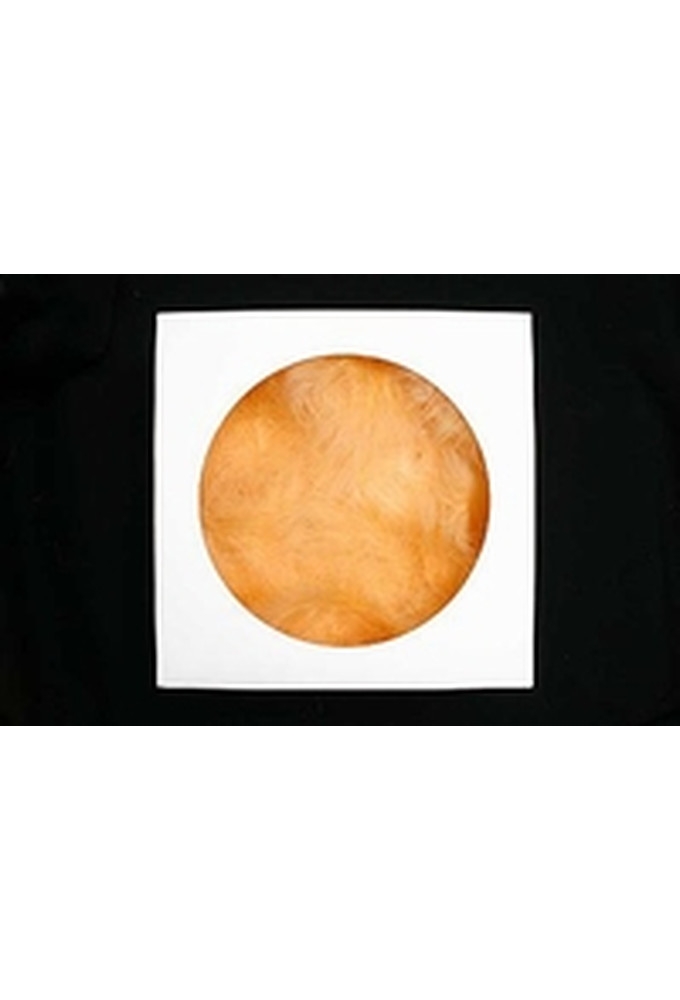 AKTIE Luxe Decoratie Veren 40 gram Peach