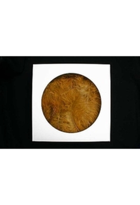 AKTIE Luxe Decoratie Veren 40 gram Safari