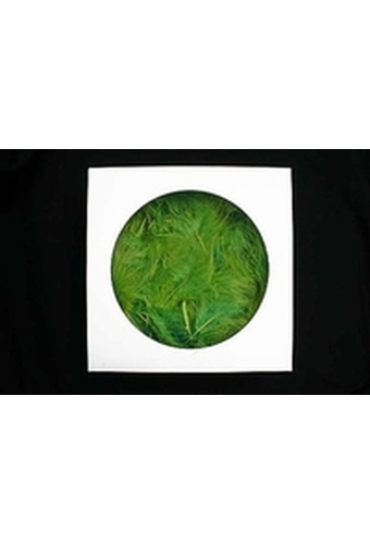 AKTIE Luxe Decoratie Veren 40 gram Groen