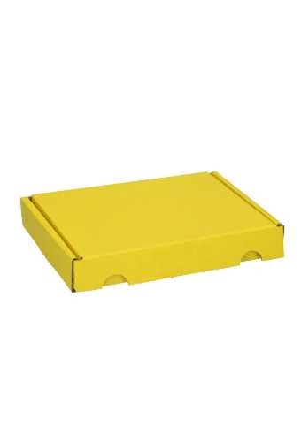 Brievenbusdoos Met Klep Pinto Kraft Geel A6 16x12x2.5cm 25stuks