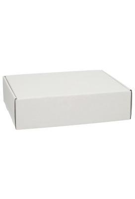 Verzenddoos Klepdoosje Budget Fast Wit Mat 30.5x24x8cm 9st
