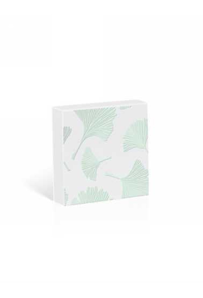 Kadobon + Kadodoosje Bene Ginko Mint 12x12x3cm 10stuks