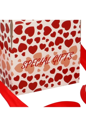 Geschenkdoos Regalo Special Gifts Hartjes Rood Lint 15x15x15cm 22st