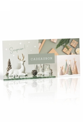 Kadobon + Cadeau Envelop Sensual Green Xmas Holidays 21.5x10cm 10stuks