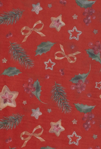 Zijdevloei - Vloeipapier Bedrukt Christmas Holly Rood 50x70cm 25vellen