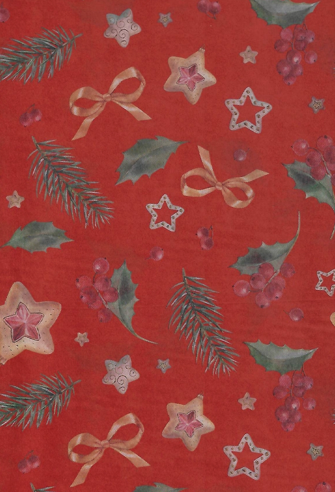 Zijdevloei - Vloeipapier Bedrukt Christmas Holly Rood 50x70cm 25vellen