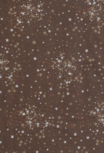 Zijdevloei - Vloeipapier Bedrukt Kerst Little Stars Rood 50x70cm 25vellen