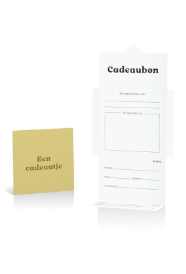 Kadobon + Cadeau Envelop Viva Cadeautje Gold 12x12x1.5cm 10stuks