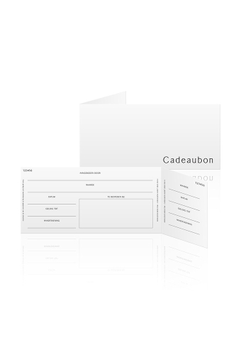 Cadeaubon + Cadeau Envelop Nuance Christmas Champagne 21.5x10.5cm 10 stuks
