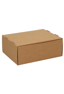 Geschenkdoos Vista Venster Kraft 20.5x16x8cm 100stuks