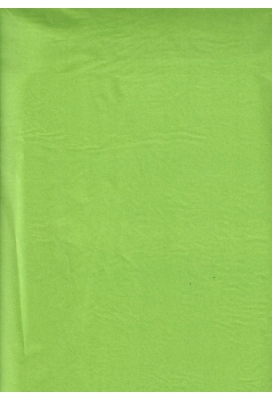 Zijdevloei - Vloeipapier Onbedrukt Licht Groen 50x75cm 240 vellen