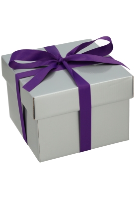 Luxe Geschenkdoos Torino Zilver Glossy FSC® 20x20x15cm 20stuks
