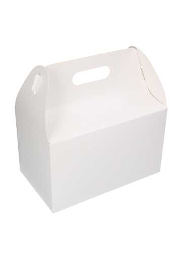 Draagdoos Stilo Wit Medium 25x15x15cm 10stuks