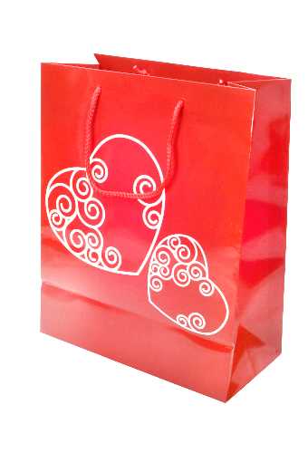 Kadotasjes Liefde Groot Love You al my Heart 26.5x13.5x32.5cm 12stuks