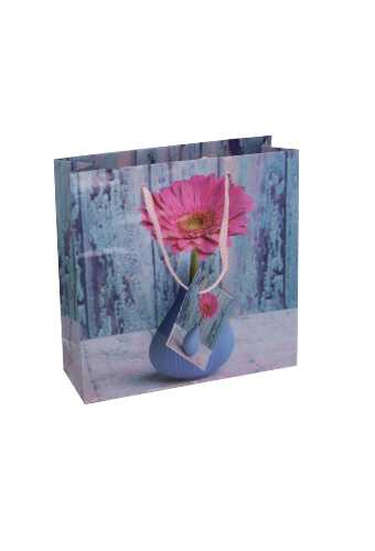 Kadotasjes Bloem Vierkant Gerbera Fuchsia 17x6x17cm 12stuks