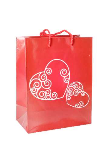 Kadotasjes Liefde Medium Love You al my Heart 18x10x23cm 12stuks