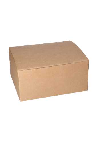 Geschenkdoos Delivery Box Naturel 25x20x12cm 435gram karton 10stuks