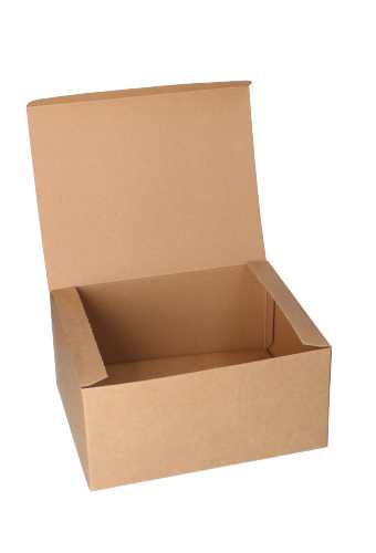 Geschenkdoos Delivery Box Naturel 25x20x12cm 435gram karton 10stuks