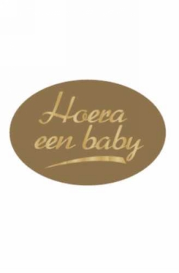 Etiketten Baby Hoera Een Baby Goud 3.7x2.5cm 500stuks Etiketten Baby Hoera Een Baby Goud 3.7x2.5cm 500stuks