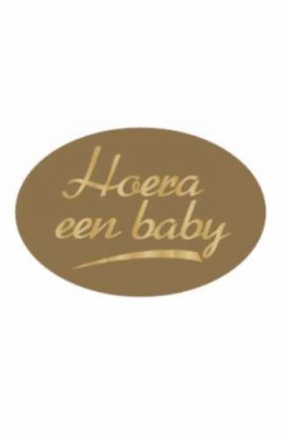 Etiketten Hoera Een Baby Goud 3.7x2.5cm 500stuks