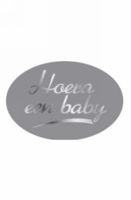 Etiketten Baby Hoera Een Baby Zilver 3.7x2.5cm 500stuks Etiketten Baby Hoera Een Baby Zilver 3.7x2.5cm 500stuks