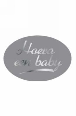Etiketten Hoera Een Baby Zilver 3.7x2.5cm 500stuks