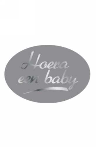 Etiketten Baby Hoera Een Baby Zilver 3.7x2.5cm 500stuks