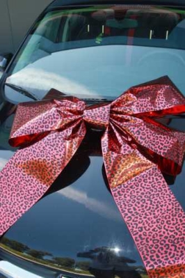 Magnum Autostrik Livorno Rood Met Panter Print Zwart 70x50+60cm