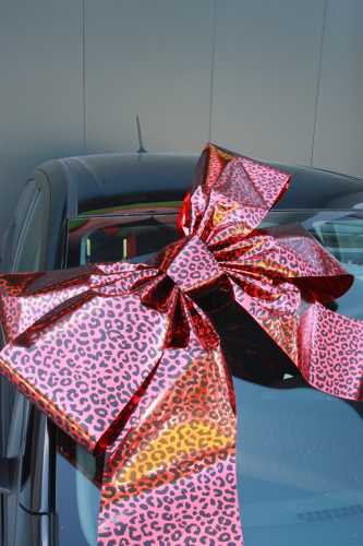 Magnum Autostrik Livorno Rood Met Panter Print Zwart 70x50+60cm