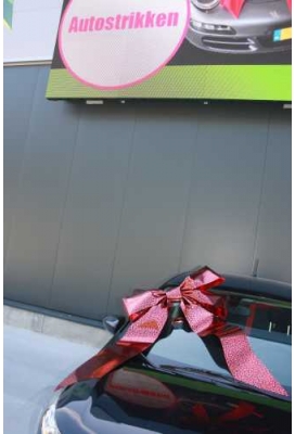 Magnum Autostrik Livorno Rood Met Panter Print Zwart 70x50+60cm
