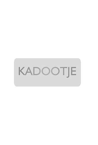 Etiketten Everyday Kadootje Zilver 3.8x1.6cm 500stuks Etiketten Everyday Kadootje Zilver 3.8x1.6cm 500stuks