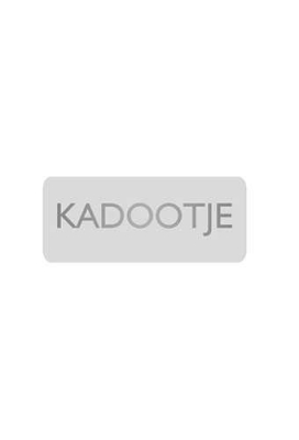 Etiketten Everyday Kadootje Zilver 3.8x1.6cm 500stuks Etiketten Everyday Kadootje Zilver 3.8x1.6cm 500stuks