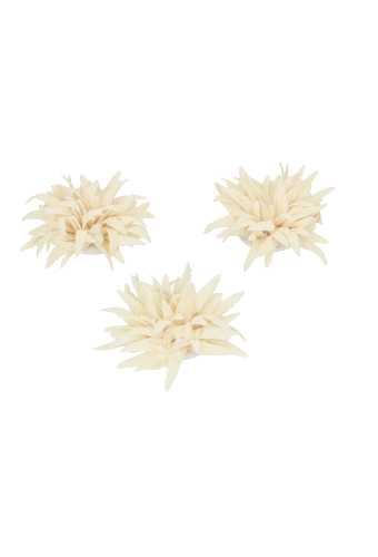 Decoratie Star Flower Naturel 6cm Met Plakker 12stuks