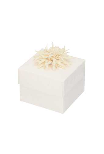 Decoratie Star Flower Naturel 6cm Met Plakker 12stuks