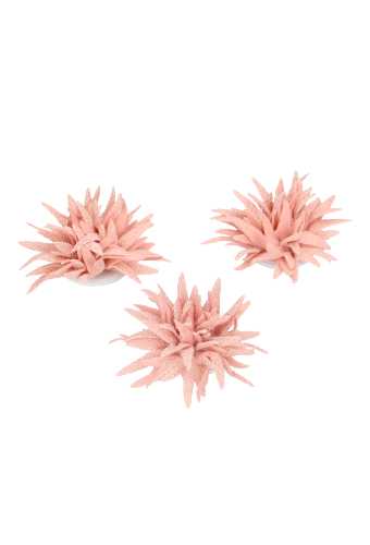 Decoratie Star Flower Pink 6cm Met Plakker 12stuks