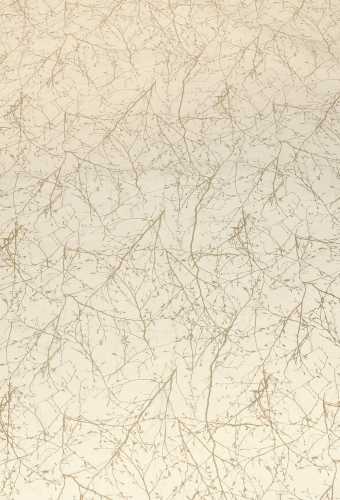 Cadeaufolie Dubbelzijdig Goud Mat & Creme Tree Gold 70cm x 50meter