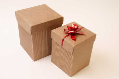 Kadodoos Dozza Met Deksel Naturel 431gram 12x12x15cm 10stuks